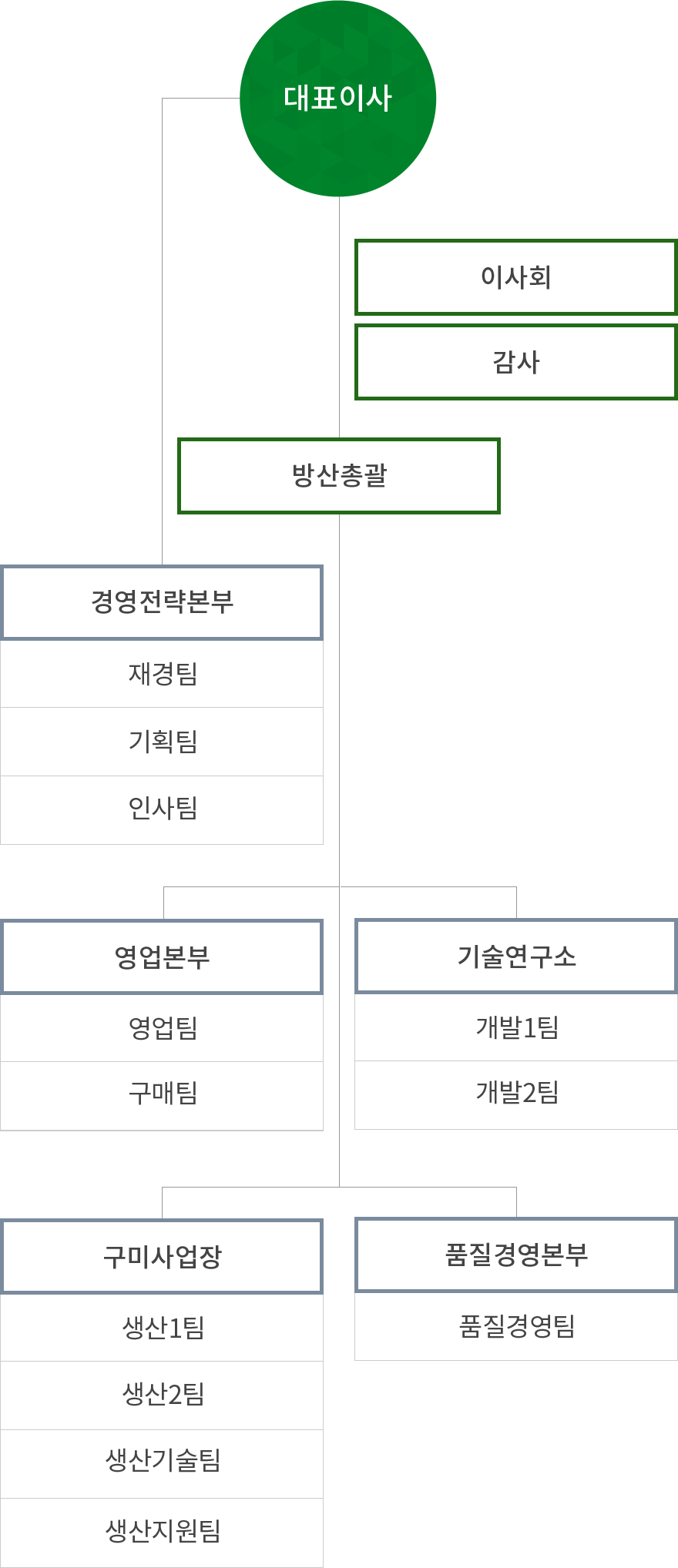 대표이사, 감사, 고문, 경영지원실-기획관리팀, 재경팀, HR팀, 영업본부-영업1팀, 영업2팀, 구매팀, 기술연구소-개발1팀, 개발2팀, 개발3팀, 개발 지원팀, 구미사업장-생산팀, 생산기술팀, 생산지원팀, 품질경영본부-품질경영팀